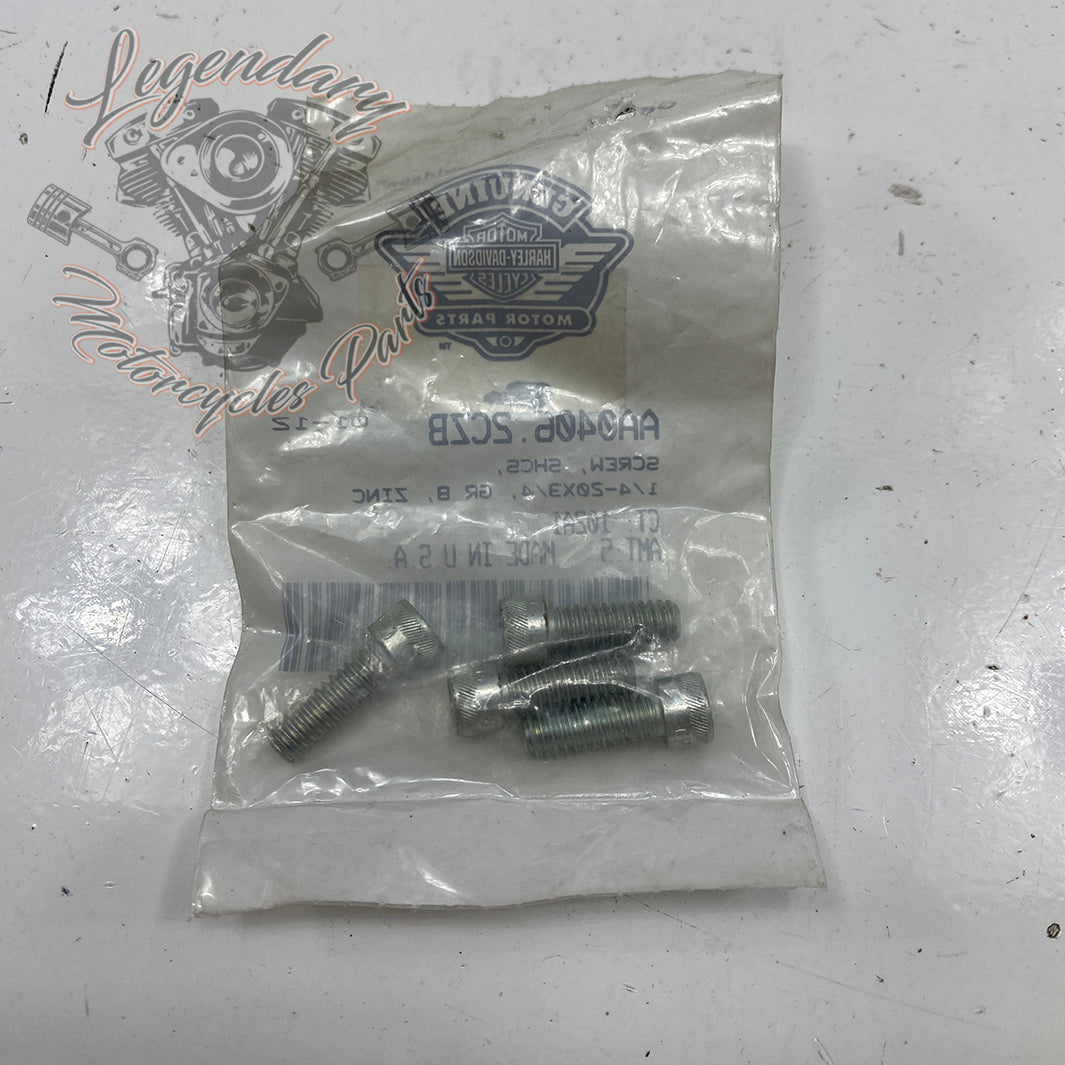 Vis OEM AA0406.2CZB